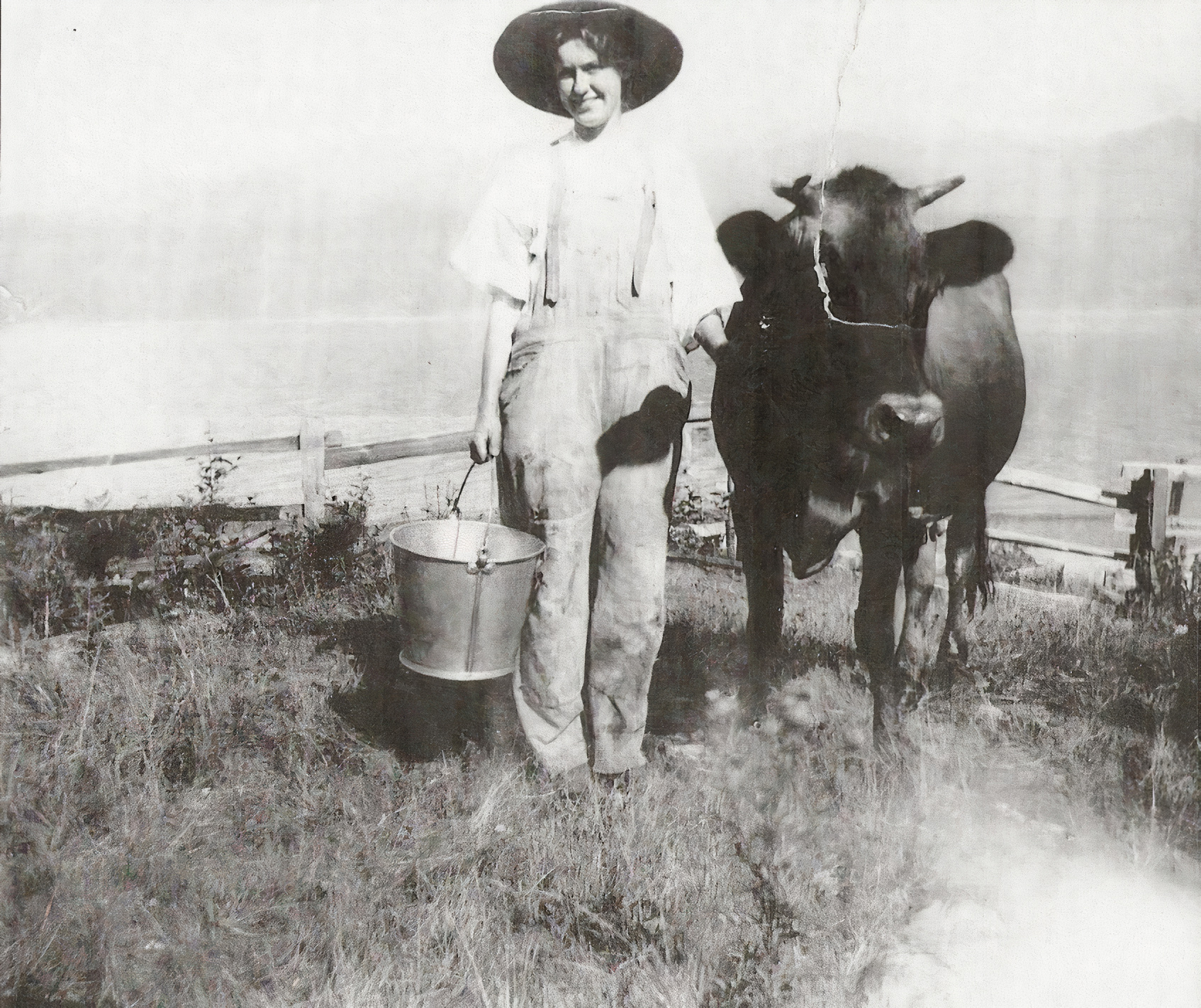 Hattie Madson’s Cow, c.1911